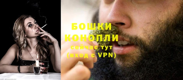 трава Наволоки