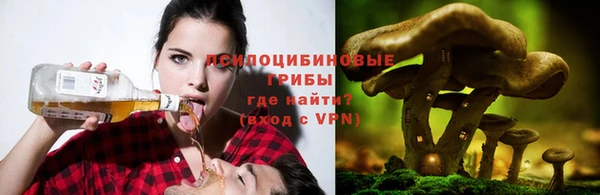 spice Надым