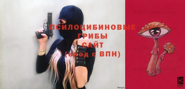 spice Надым