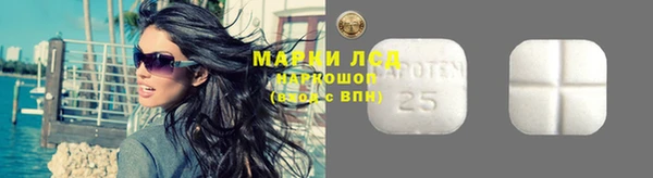 трава Наволоки