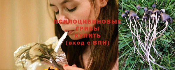 spice Надым