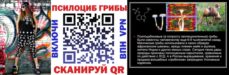 Псилоцибиновые грибы GOLDEN TEACHER  Энгельс 